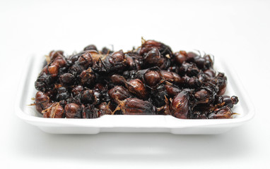 Fried insects