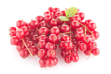 Red Currants