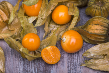 physalis