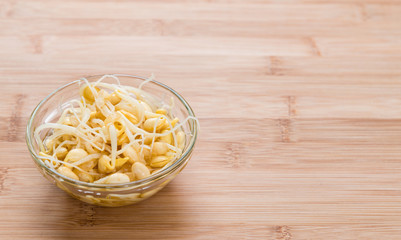 Soy Sprouts (preserved)