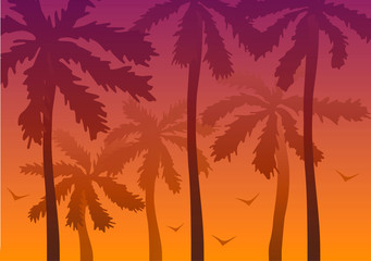 Obraz na płótnie Canvas Palm trees at sunset.