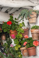houseplants in pots hanging on whitewashed wall