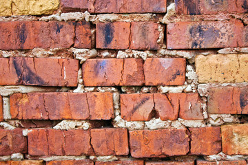 Brickwork forms a background. 