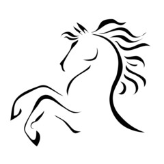 vector drawing horse