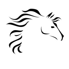 vector drawing horse © SveslaTasla