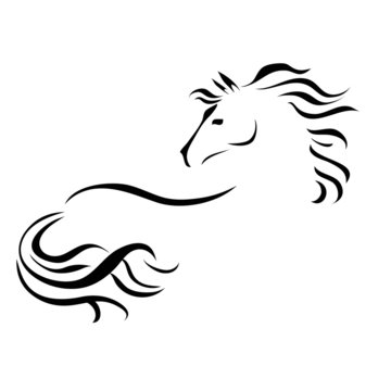 vector drawing horse