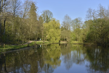 Fototapeta na wymiar L'étang du parc Solvay Tournai au printemps 