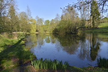 Fototapeta na wymiar Berges de l'étang du parc Solvay Tournai à Bruxelles