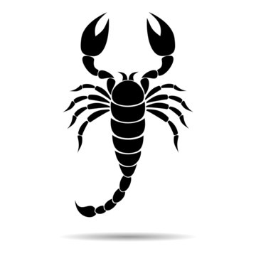Scorpion Silhouette - illustration