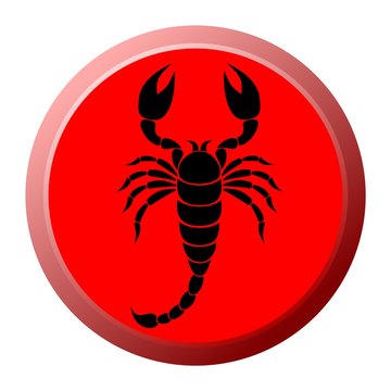 Black Scorpion Button - illustration