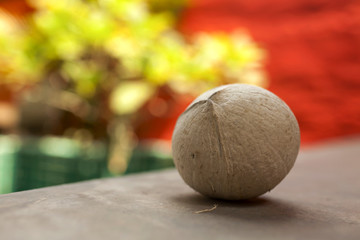 Coconut with colorful background
