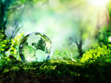 crystal globe on moss in a forest - environment concept
