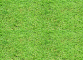 Seamless tileable texture - green grass meadow