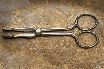 Sugar tongs on an old metal background