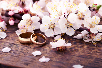 Wedding rings. Spring. Flowering branch on wooden surface.