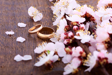 Wedding rings. Spring. Flowering branch on wooden surface.