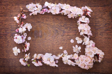 frame with flowering branches on wooden board
