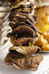 Dried mushrooms on wooden background