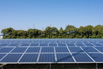 並木をバックに太陽光パネル