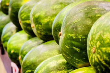 Green watermelons