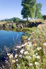 Panska rock known as Organs (national natural monument), Novy Bo