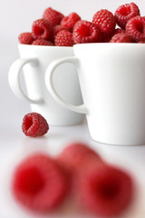 red raspberry in white cups on white background