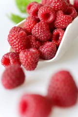 red raspberry on white background