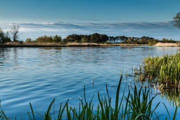 Landscape on the river Nogat, Poland