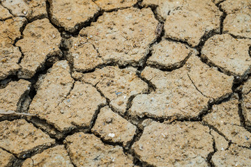 Dry land. Cracked ground background.