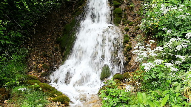 Small waterfall and stream in green forest