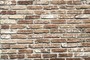 Wall