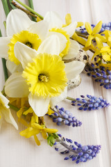 Spring flowers: daffodil, muscari and forsythia