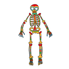 skeleton color vector doodle