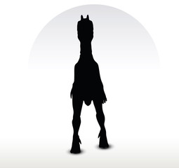 dinosaurs dilophosaurus