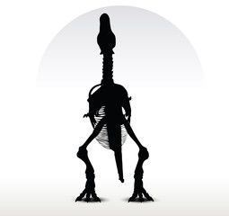 dinosaurs trex skeleton
