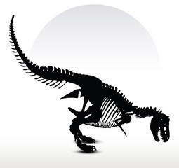 dinosaurs trex skeleton © ISTANBUL2009