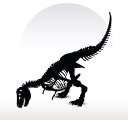 dinosaurs trex skeleton © ISTANBUL2009