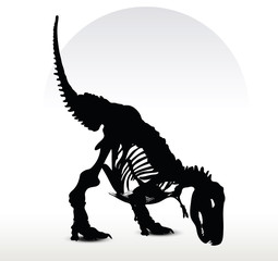 dinosaurs trex skeleton © ISTANBUL2009