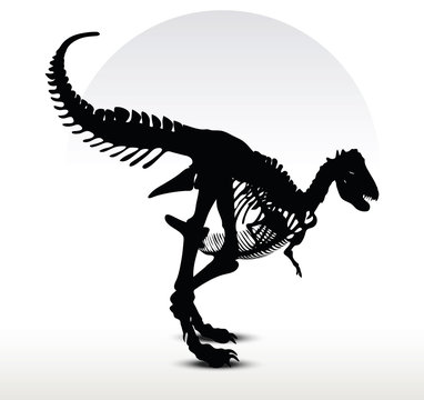 dinosaurs trex skeleton