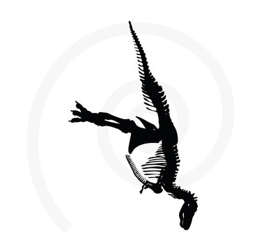 recommend clip art: dinosaurs trex skeleton