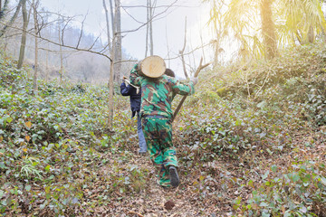 Naklejka premium two man carry wood in the forest