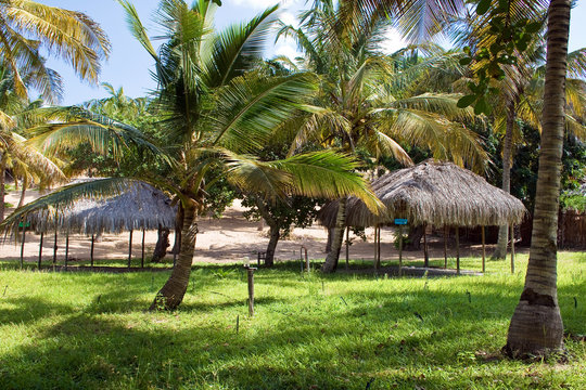 Campsite in Mozambique, East Africa.