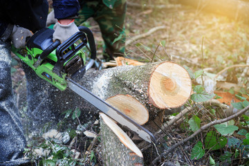 Lumberjack logger worker