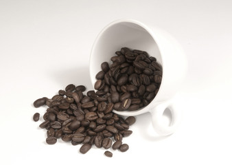 roasted coffee beans