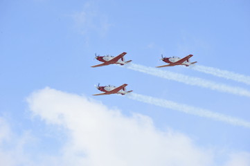 Synchronized flight of 4 planes in the team