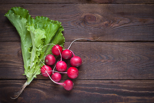 Lettuce And Radishes