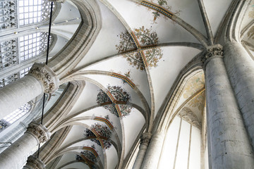 arched ceiling of breda cathedral in the netherlands