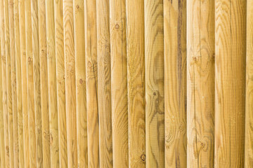 Wood log background textured