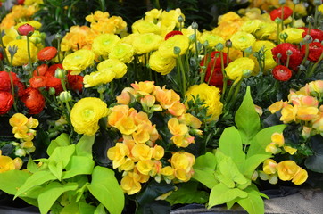 Dekoratives Blumengebinde mit Ranunkeln sonnengelb