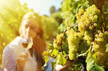 Girl in the vineyards. Lavaux, Switzerland